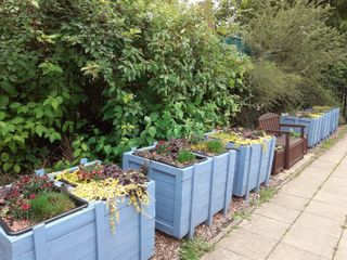 Planters outside of the hall